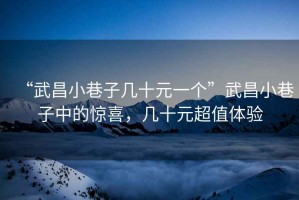 “武昌小巷子幾十元一個(gè)”武昌小巷子中的驚喜，幾十元超值體驗