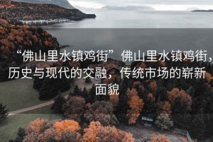 “佛山里水鎮雞街”佛山里水鎮雞街，歷史與現代的交融，傳統市場(chǎng)的嶄新面貌