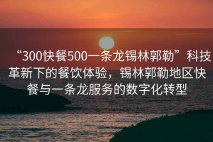 “300快餐500一條龍錫林郭勒”科技革新下的餐飲體驗，錫林郭勒地區快餐與一條龍服務(wù)的數字化轉型