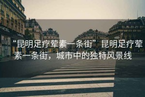 “昆明足療葷素一條街”昆明足療葷素一條街，城市中的獨特風(fēng)景線(xiàn)