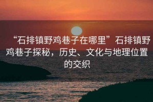 “石排鎮野雞巷子在哪里”石排鎮野雞巷子探秘，歷史、文化與地理位置的交織