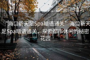 “?？谛绿熳鉙pa暗語(yǔ)通關(guān)”?？谛绿熳鉙pa暗語(yǔ)通關(guān)，探索都市休閑的秘密花園