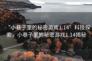 “小巷子里的秘密游戲1.14”科技探索，小巷子里的秘密游戲1.14揭秘