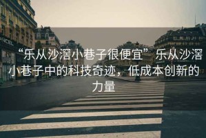 “樂(lè )從沙滘小巷子很便宜”樂(lè )從沙滘小巷子中的科技奇跡，低成本創(chuàng  )新的力量