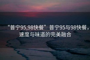 “普寧95,98快餐”普寧95與98快餐，速度與味道的完美融合
