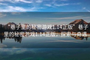 “巷子里的秘密游戲1.14正版”巷子里的秘密游戲1.14正版，探索與奇遇