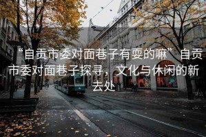 “自貢市委對面巷子有耍的嘛”自貢市委對面巷子探尋，文化與休閑的新去處