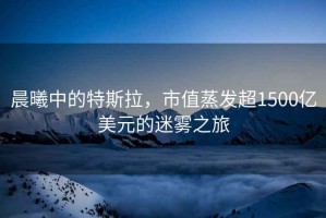 晨曦中的特斯拉，市值蒸發(fā)超1500億美元的迷霧之旅