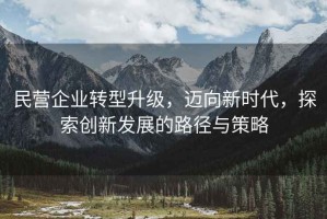 民營(yíng)企業(yè)轉型升級，邁向新時(shí)代，探索創(chuàng  )新發(fā)展的路徑與策略