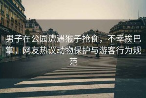 男子在公園遭遇猴子搶食，不幸挨巴掌，網(wǎng)友熱議動(dòng)物保護與游客行為規范