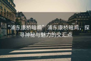 “浦東康橋暗雞”浦東康橋暗雞，探尋神秘與魅力的交匯點(diǎn)
