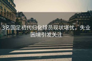 3名國足初代歸化球員現狀堪憂(yōu)，失業(yè)困境引發(fā)關(guān)注