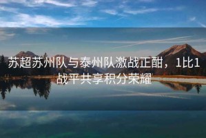 蘇超蘇州隊與泰州隊激戰正酣，1比1戰平共享積分榮耀