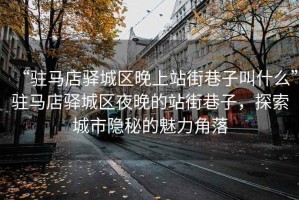 “駐馬店驛城區晚上站街巷子叫什么”駐馬店驛城區夜晚的站街巷子，探索城市隱秘的魅力角落
