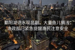 鄱陽(yáng)湖退水現悲劇，大量魚(yú)兒擱淺，漁政部門(mén)緊急提醒漁民注意安全