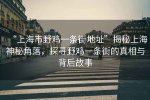 “上海市野雞一條街地址”揭秘上海神秘角落，探尋野雞一條街的真相與背后故事