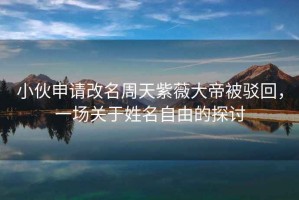 小伙申請改名周天紫薇大帝被駁回，一場(chǎng)關(guān)于姓名自由的探討