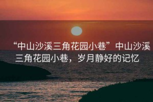 “中山沙溪三角花園小巷”中山沙溪三角花園小巷，歲月靜好的記憶