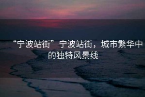 “寧波站街”寧波站街，城市繁華中的獨特風(fēng)景線(xiàn)