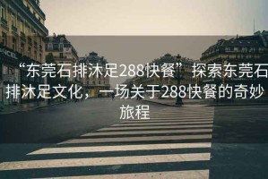 “東莞石排沐足288快餐”探索東莞石排沐足文化，一場(chǎng)關(guān)于288快餐的奇妙旅程