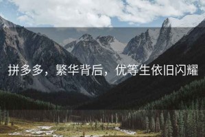 拼多多，繁華背后，優(yōu)等生依舊閃耀