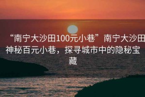 “南寧大沙田100元小巷”南寧大沙田神秘百元小巷，探尋城市中的隱秘寶藏