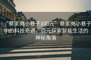 “蔡家崗小巷子100元”蔡家崗小巷子中的科技奇遇，百元探索智能生活的神秘角落