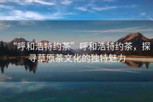 “呼和浩特約茶”呼和浩特約茶，探尋草原茶文化的獨特魅力