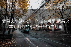 武昌火車(chē)站小俎一條街在哪里:武昌火車(chē)站附近的小吃一條街在哪里