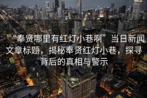 “奉賢哪里有紅燈小巷啊”當日新聞文章標題，揭秘奉賢紅燈小巷，探尋背后的真相與警示