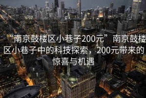 “南京鼓樓區小巷子200元”南京鼓樓區小巷子中的科技探索，200元帶來(lái)的驚喜與機遇