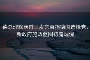 德總理默茨首日發(fā)言直指德國選擇黨，新政府施政藍圖初露端倪