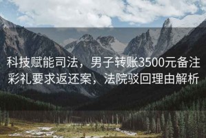 科技賦能司法，男子轉賬3500元備注彩禮要求返還案，法院駁回理由解析