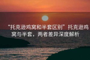 “托克遜雞窩和半套區別”托克遜雞窩與半套，兩者差異深度解析