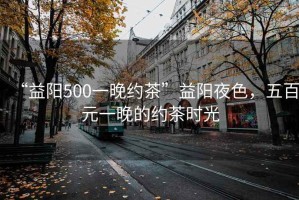“益陽(yáng)500一晚約茶”益陽(yáng)夜色，五百元一晚的約茶時(shí)光