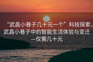 “武昌小巷子幾十元一個(gè)”科技探索，武昌小巷子中的智能生活體驗與變遷—僅需幾十元