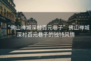 “佛山禪城深村百元巷子”佛山禪城深村百元巷子的獨特風(fēng)情