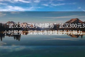 “武漢300元3小時(shí)服務(wù)”武漢300元3小時(shí)服務(wù)，探索城市快捷服務(wù)的魅力