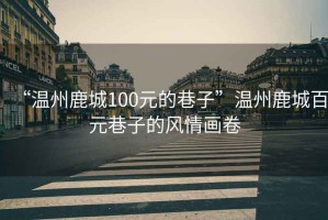 “溫州鹿城100元的巷子”溫州鹿城百元巷子的風(fēng)情畫(huà)卷