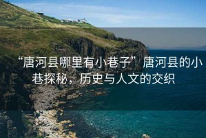 “唐河縣哪里有小巷子”唐河縣的小巷探秘，歷史與人文的交織