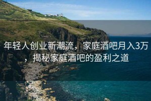 年輕人創(chuàng  )業(yè)新潮流，家庭酒吧月入3萬(wàn)，揭秘家庭酒吧的盈利之道