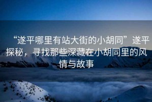 “遂平哪里有站大街的小胡同”遂平探秘，尋找那些深藏在小胡同里的風(fēng)情與故事