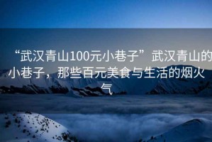 “武漢青山100元小巷子”武漢青山的小巷子，那些百元美食與生活的煙火氣