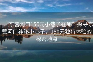 “東營(yíng)河口150元小巷子在哪”探尋東營(yíng)河口神秘小巷子，150元獨特體驗的秘密地點(diǎn)