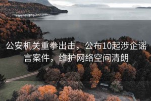 公安機關(guān)重拳出擊，公布10起涉企謠言案件，維護網(wǎng)絡(luò )空間清朗