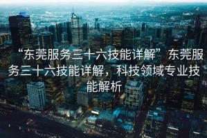 “東莞服務(wù)三十六技能詳解”東莞服務(wù)三十六技能詳解，科技領(lǐng)域專(zhuān)業(yè)技能解析