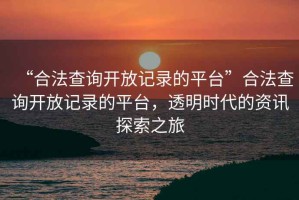 “合法查詢(xún)開(kāi)放記錄的平臺”合法查詢(xún)開(kāi)放記錄的平臺，透明時(shí)代的資訊探索之旅