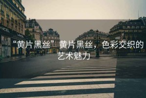 “黃片黑絲”黃片黑絲，色彩交織的藝術(shù)魅力