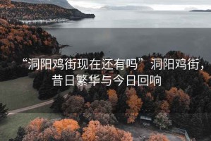 “洞陽(yáng)雞街現在還有嗎”洞陽(yáng)雞街，昔日繁華與今日回響