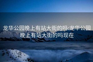 龍華公園晚上有站大街的嗎:龍華公園晚上有站大街的嗎現在